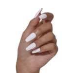 STUDIO WHITE FRENCH