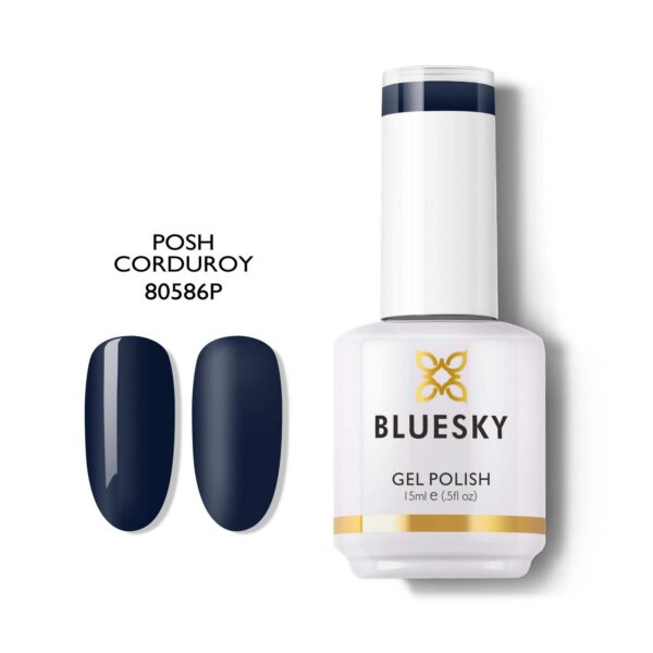 POSH CORDUROY BLUE