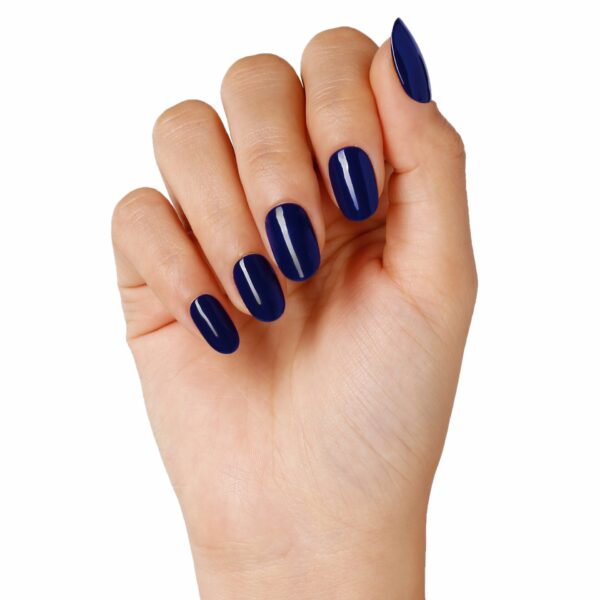 NAVY SEALS (EX. UNIVERSE BLUE) BLUE