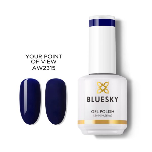 YOUR POINT OF VIEW BLUE
