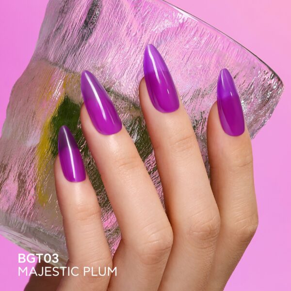 NO WIPE SMART TOP COAT – GLASS – MAJESTIC PLUM TOP