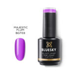 NO WIPE SMART TOP COAT – GLASS – MAJESTIC PLUM TOP