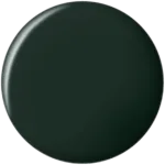 BLACKISH GREEN GEL POLISH