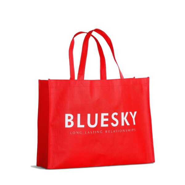 Non-Woven bag (red) ACCESSORIES