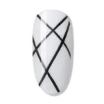 Perfect fine liner-BLACK (8ML) NAIL ART