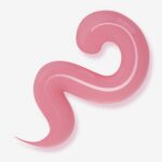 GUM GEL CORALLINE 35gr EXTENSIONS