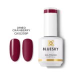 DRIED CRANBERRY GEL POLISH
