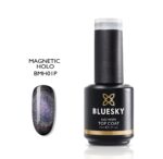 No Wipe  top Coat-magnetic holo TOP