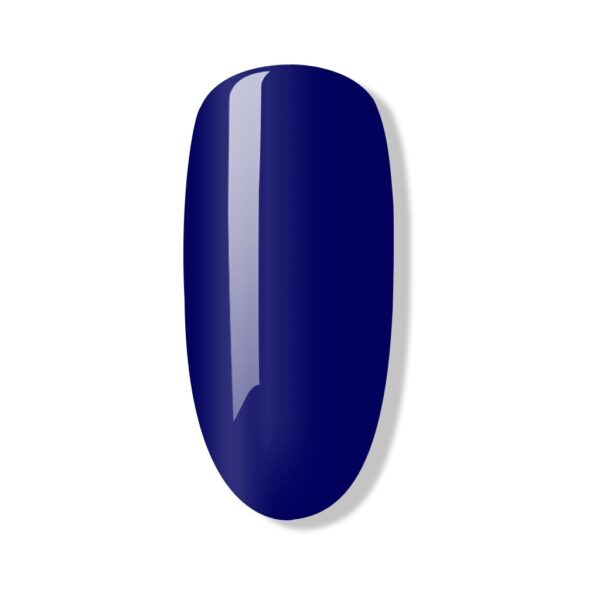 DARK HAVIER BLUE
