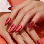 VELVET BURGUNDY – SEASONAL SPECIAL COLLECTIONS/EFFECT