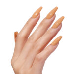 LATTE WINGS – SEASONAL NUDE