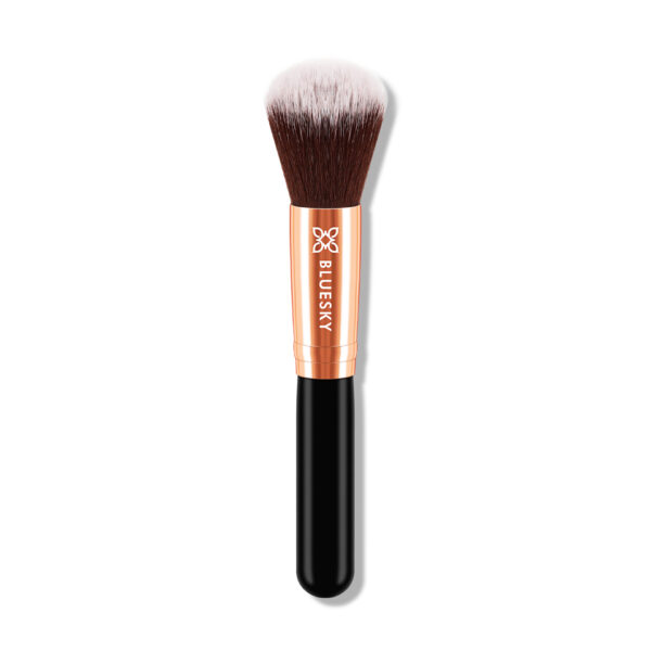 DUST BRUSH BRUSHES