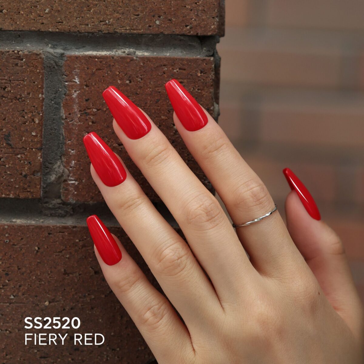 FIERY RED – SEASONAL RED