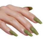 KELP FOREST – AW2518 GEL POLISH