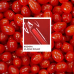 CLASSIC ROUGE – BERRY BLOOM COLLECTION BERRY BLOOM COLLECTION
