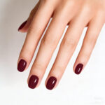 BURGUNDY RESERVE – BERRY BLOOM COLLECTION BERRY BLOOM COLLECTION