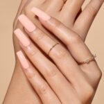 VELVET BLOOM – SEASONAL GEL POLISH