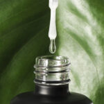 PLANT PROTEIN BASE COAT BASE
